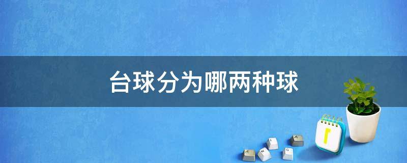 台球分为哪两种球（台球有哪两种球）