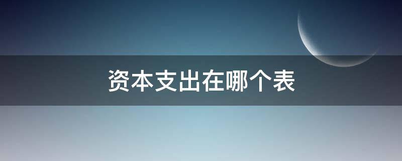 资本支出在哪个表（资本开支在哪个表里）