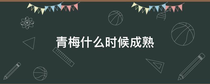 青梅什么时候成熟（四川青梅什么时候成熟）