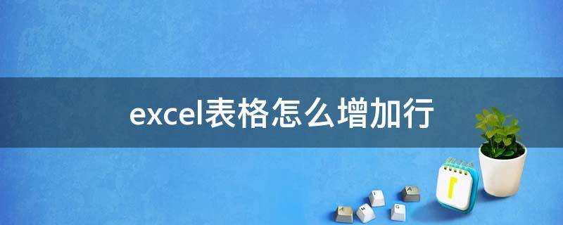 excel表格怎么增加行 excel表格怎么增加行数