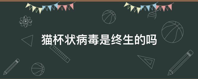 猫杯状病毒是终生的吗（猫杯状病毒终身携带）