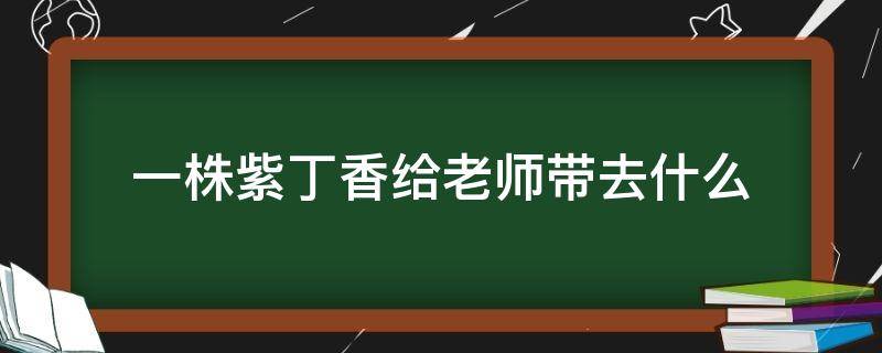 一株紫丁香给老师带去什么 一株紫丁香给老师带来了什么,还想让它给老师带什么