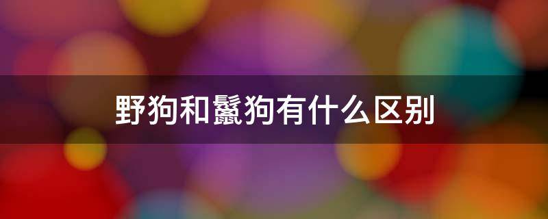 野狗和鬣狗有什么区别（鬣狗和野狗一样吗）