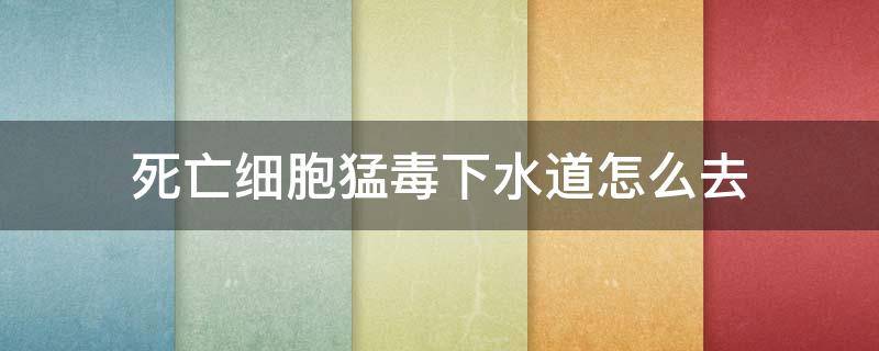 死亡细胞猛毒下水道怎么去 死亡细胞猛毒下水道能去哪