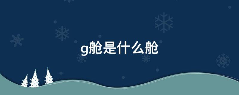 g舱是什么舱（飞机G舱是什么舱）