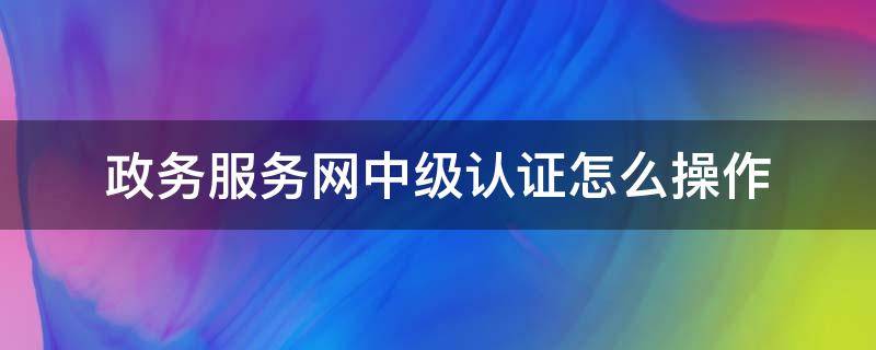 政务服务网中级认证怎么操作 政务服务网上怎么申请中级认证