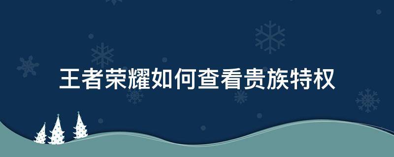 王者荣耀如何查看贵族特权 王者贵族哪里看