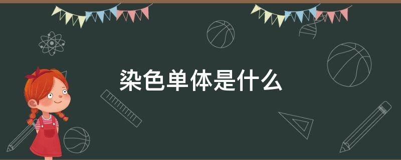 染色单体是什么 染色单体是什么时候形成的