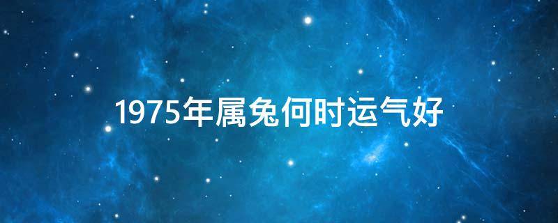 1975年属兔何时运气好 1975年属兔什么时候运气好