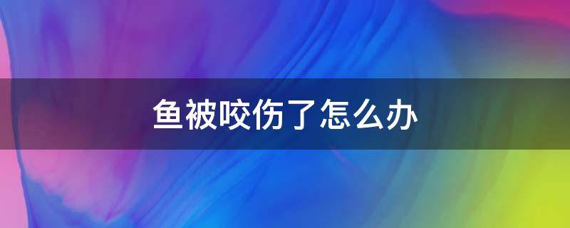 鱼被咬伤了怎么办 银龙鱼被咬伤了怎么办