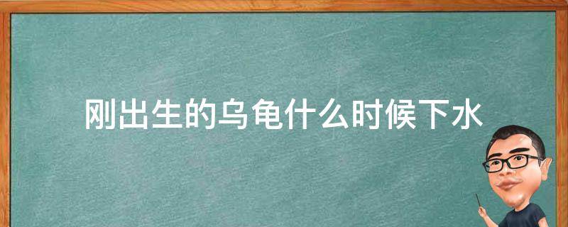 刚出生的乌龟什么时候下水 刚出生的乌龟什么时候可以下水