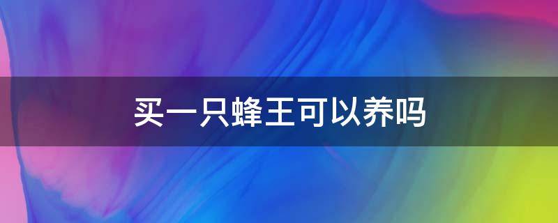 买一只蜂王可以养吗 买一只蜂王就可以养蜂吗