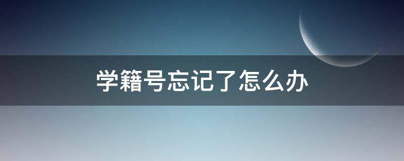 学籍号忘记了怎么办 记不住学籍号怎么办?