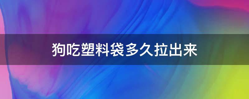 狗吃塑料袋多久拉出来 狗狗吃了塑料袋子能拉出来吗