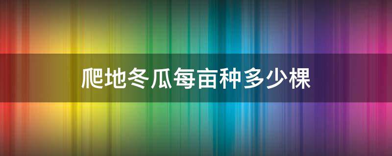 爬地冬瓜每亩种多少棵 爬地冬瓜一亩种多少棵