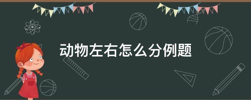 动物左右怎么分例题 数学题动物的左右怎么分