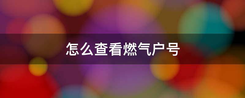 怎么查看燃气户号（怎样查看自己的燃气户号）