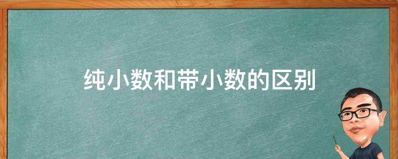 纯小数和带小数的区别 什么叫做纯小数什么叫做带小数