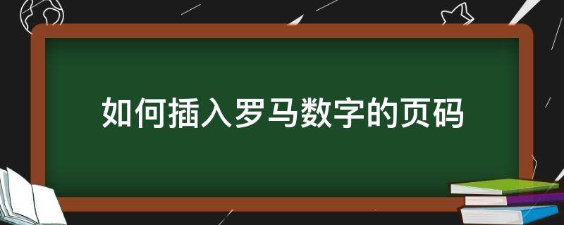 如何插入罗马数字的页码 怎么加罗马数字页码