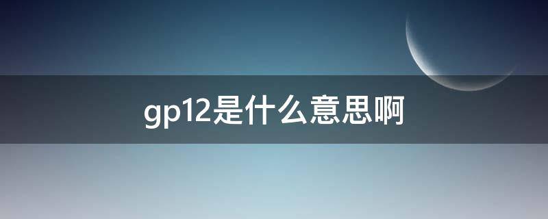 gp12是什么意思啊 GP12是什么意思