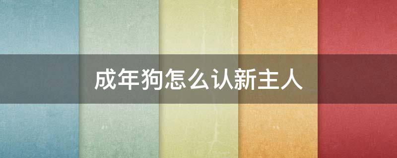 成年狗怎么认新主人 成年狗多长时间认新主人