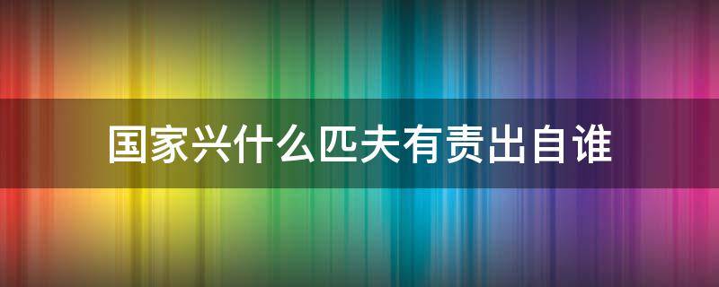 国家兴什么匹夫有责出自谁（国家兴什么匹夫有责作者）