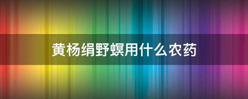 黄杨绢野螟用什么农药 黄杨绢野螟园林技术防治