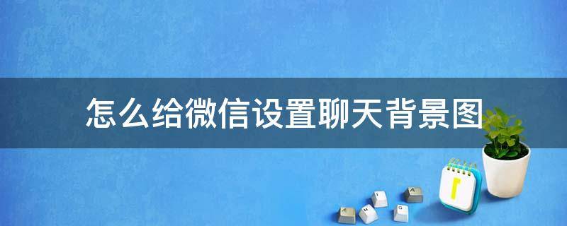 怎么给微信设置聊天背景图 微信聊天背景图如何设置