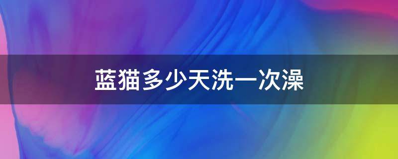 蓝猫多少天洗一次澡（蓝猫一般多长时间洗一次澡呢）