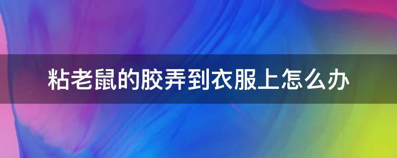 粘老鼠的胶弄到衣服上怎么办 衣服上弄到了粘老鼠的胶怎么办