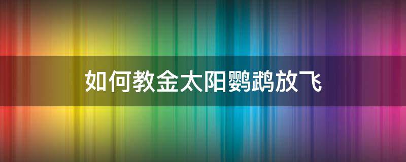 如何教金太阳鹦鹉放飞 小太阳鹦鹉怎么训练放飞