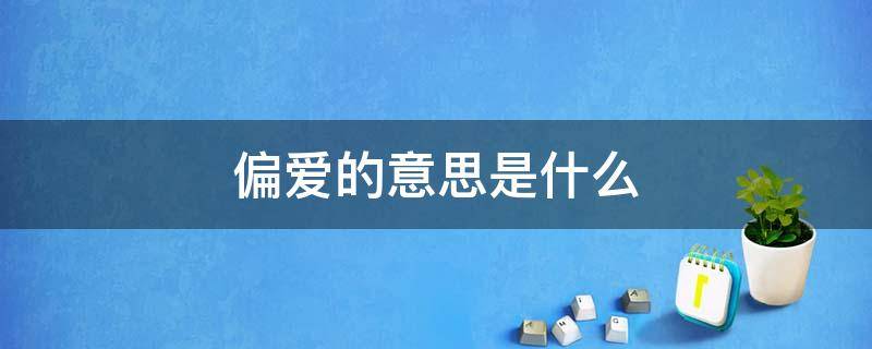 偏爱的意思是什么 偏爱到底是什么意思