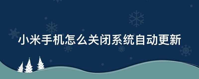 小米手机怎么关闭系统自动更新 小米手机怎么关闭系统自动更新功能