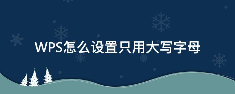 WPS怎么设置只用大写字母 怎么设置wps表格里的字母只能是大写