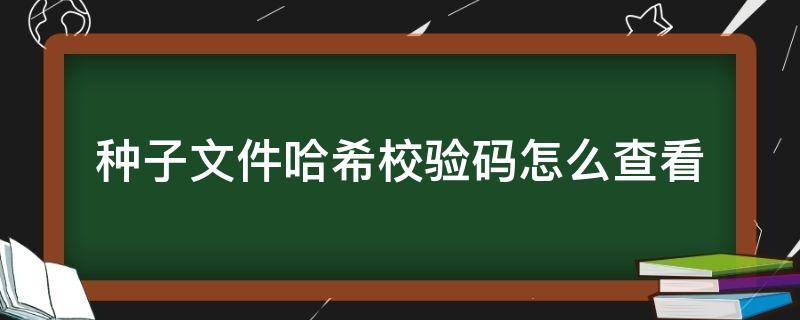 种子文件哈希校验码怎么查看 哈希校验码