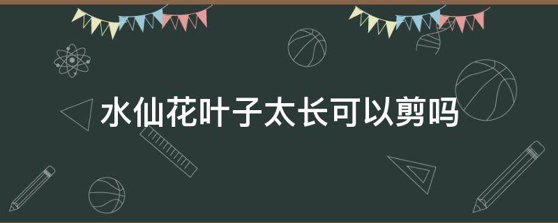 水仙花叶子太长可以剪吗（水仙花叶子太长能剪掉）