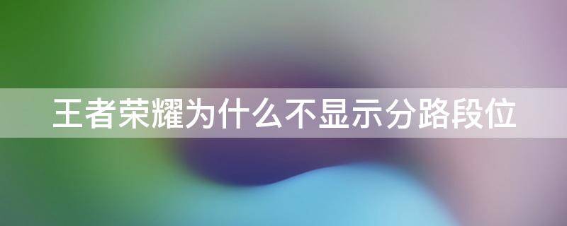 王者荣耀为什么不显示分路段位 为什么王者不显示分路几段