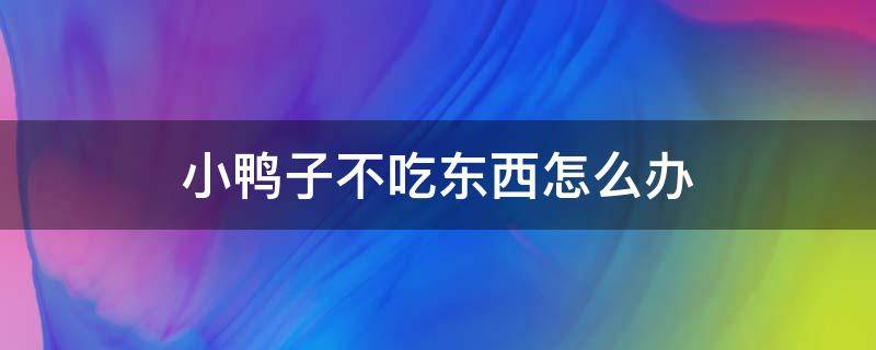 小鸭子不吃东西怎么办 买回来的小鸭子不吃东西怎么办