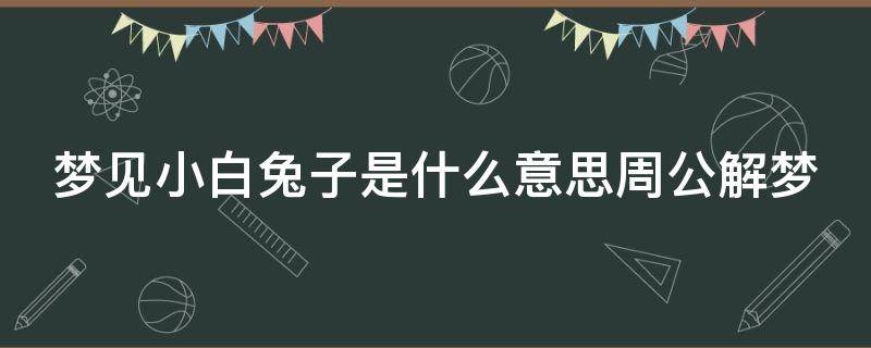 梦见小白兔子是什么意思周公解梦（梦见小白兔子是什么意思周公解梦）