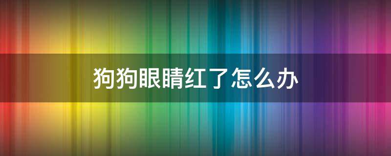 狗狗眼睛红了怎么办 狗狗眼睛红了怎么办睁不开眼