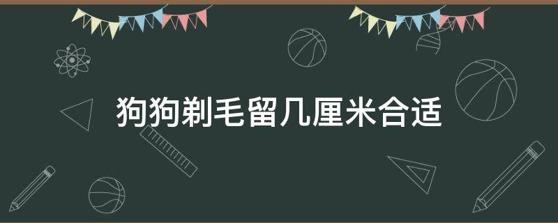 狗狗剃毛留几厘米合适 狗狗剃毛留几厘米合适博美串