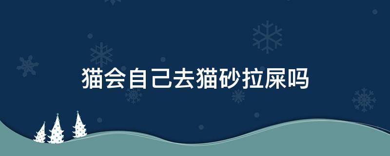 猫会自己去猫砂拉屎吗（猫会自动去猫砂拉屎吗?）