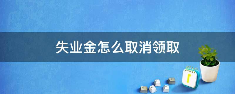 失业金怎么取消领取（失业金怎么取消申请领取）