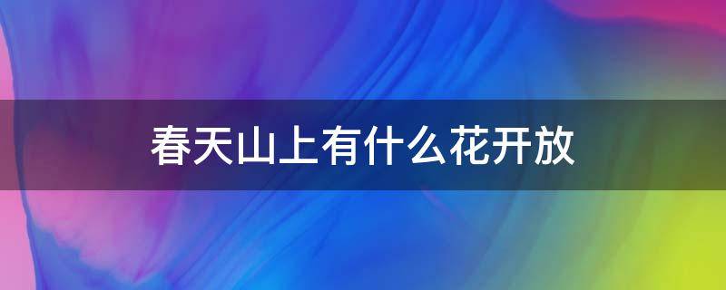 春天山上有什么花开放（春天山脚下的野花都开了,有什么）