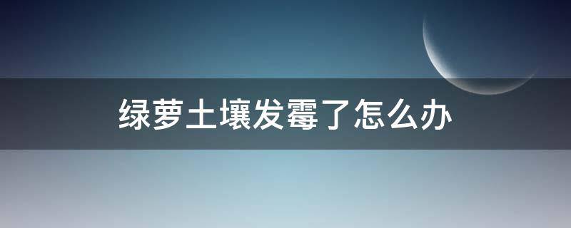 绿萝土壤发霉了怎么办（绿萝土发霉怎么回事）