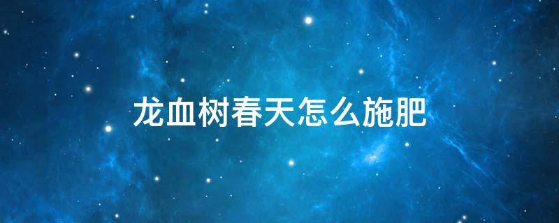 龙血树春天怎么施肥 龙血树夏季怎么施肥