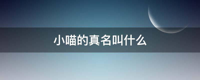 小喵的真名叫什么（小小喵是谁）