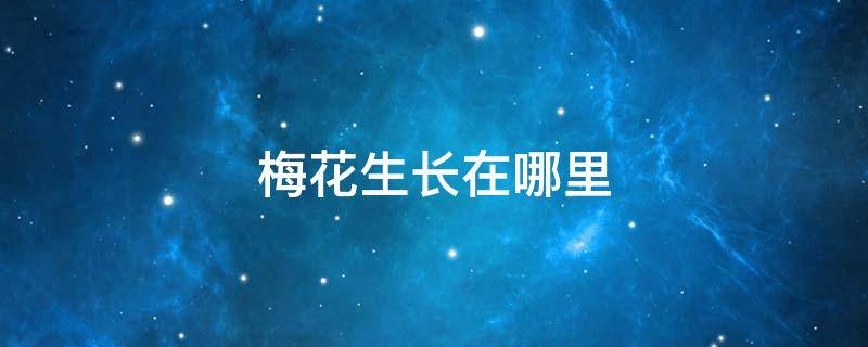 梅花生长在哪里 墨梅中梅花生长在哪里