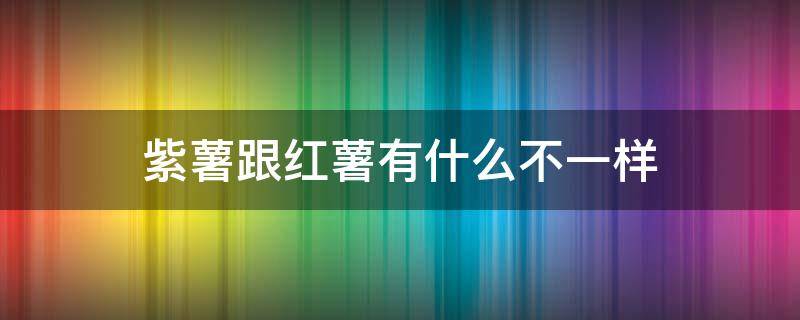 紫薯跟红薯有什么不一样 紫薯和红薯有什么不一样