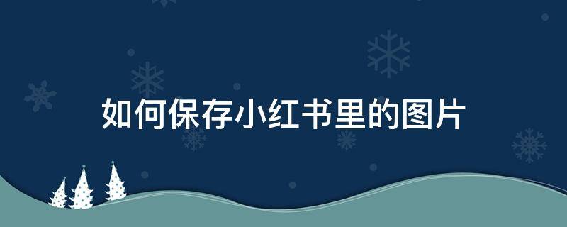 如何保存小红书里的图片（怎么保存小红书上的图片）